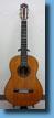 ayamahadynaguitar